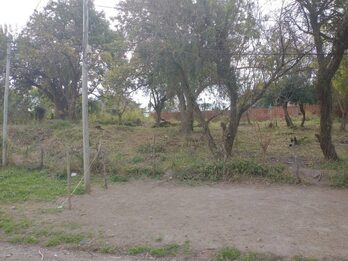 TERRENO EN VENTA USD6500