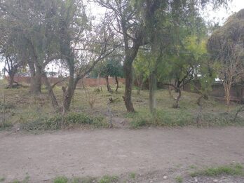 TERRENO EN VENTA USD6500