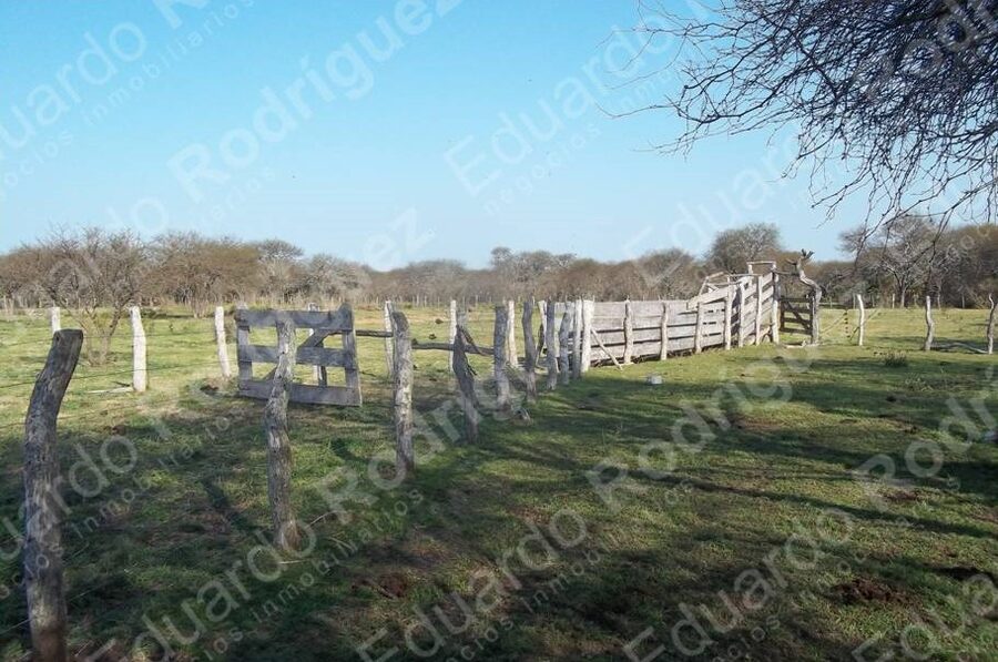 En venta 235has de campo - zona Las Tunas - Entre Ríos