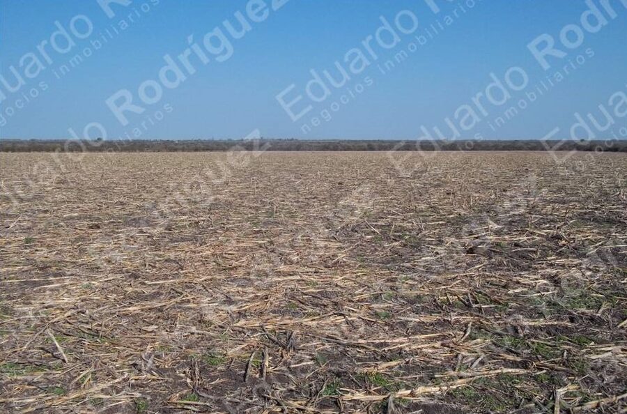 En venta 235has de campo - zona Las Tunas - Entre Ríos