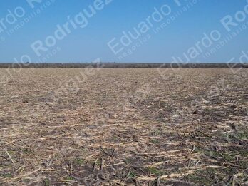 En venta 235has de campo - zona Las Tunas - Entre Ríos