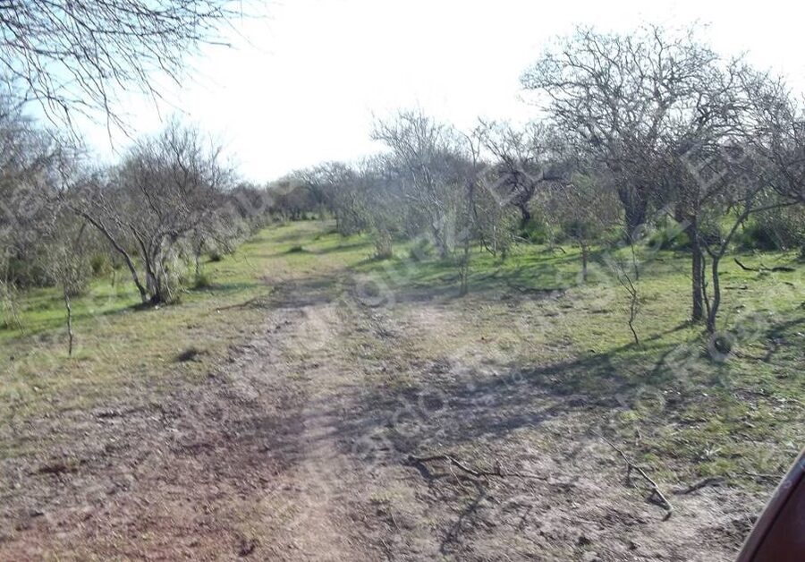 En venta 235has de campo - zona Las Tunas - Entre Ríos
