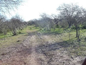 En venta 235has de campo - zona Las Tunas - Entre Ríos