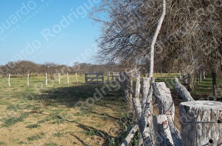 En venta 235has de campo - zona Las Tunas - Entre Ríos