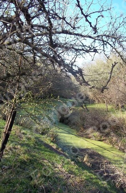 En venta 235has de campo - zona Las Tunas - Entre Ríos