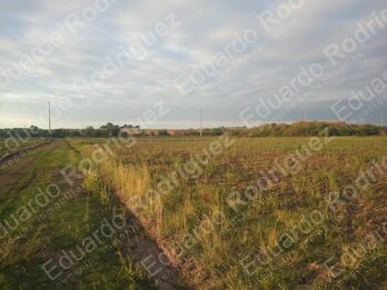En venta excelente lote – Acceso Norte