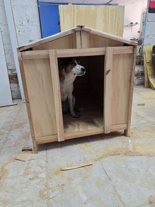 CASA DE PERRITOS