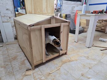 CASA DE PERRITOS