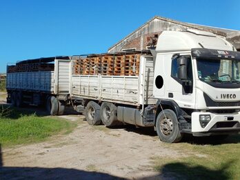 VENDO IVECO CURSOR