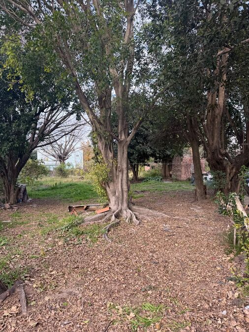VENTA | AMPLIO TERRENO – PARANÁ