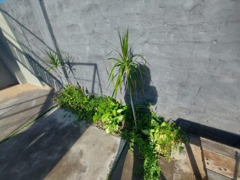 DUEÑO ALQUILA 🤝 DEPTO 1 DORM 📍 Fraternidad y Av. Ramirez | Complejo Orígen