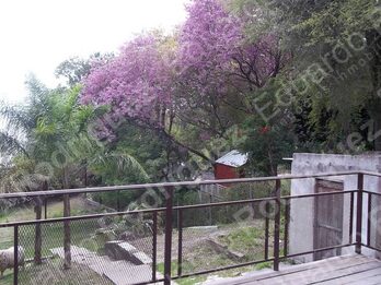 En venta predio con casa - Paraje La Jaula (dpto Diamante E.R)