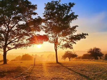 Terreno en venta – Las Colinas Club de Campo Golf