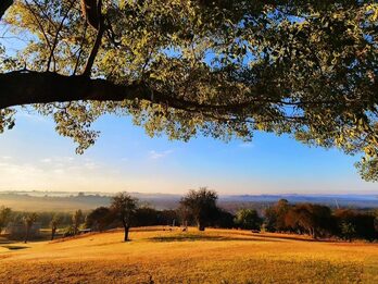 Terreno en venta – Las Colinas Club de Campo Golf