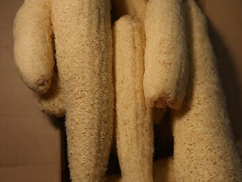 Esponjas Vegetales