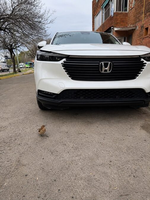 HONDA HRV 1.5 EXL CVT - AÑO 2.025