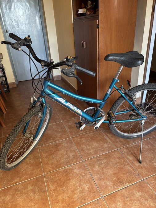 Bici rodado 24