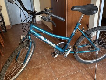 Bici rodado 24