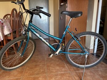 Bici rodado 24