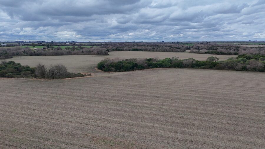 Campo de137ha en Paso de las Piedras