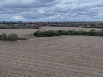 Campo de137ha en Paso de las Piedras