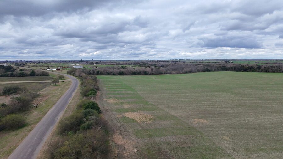 Campo de137ha en Paso de las Piedras