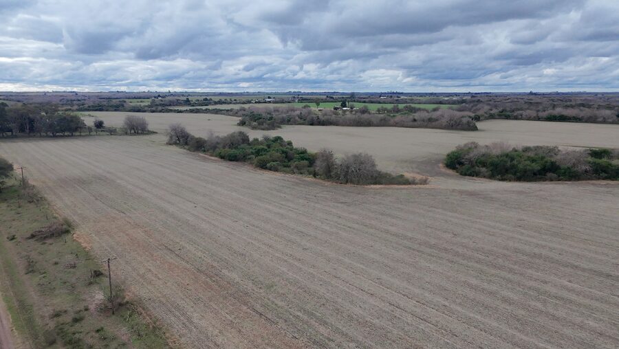 Campo de137ha en Paso de las Piedras