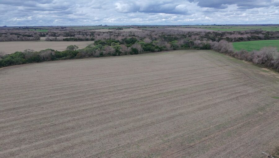 Campo de137ha en Paso de las Piedras