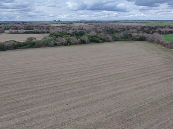 Campo de137ha en Paso de las Piedras