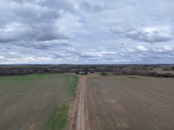 Campo de137ha en Paso de las Piedras