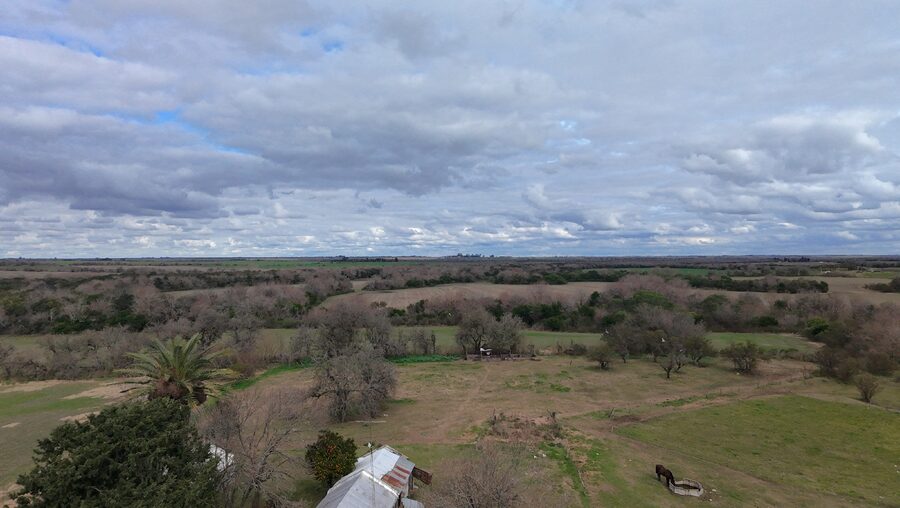 Campo de137ha en Paso de las Piedras