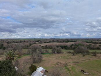 Campo de137ha en Paso de las Piedras