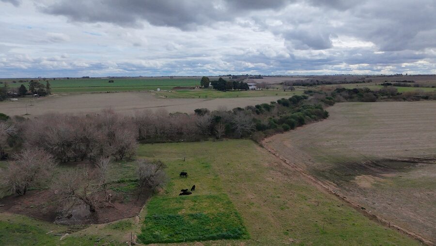 Campo de137ha en Paso de las Piedras