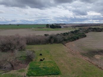 Campo de137ha en Paso de las Piedras