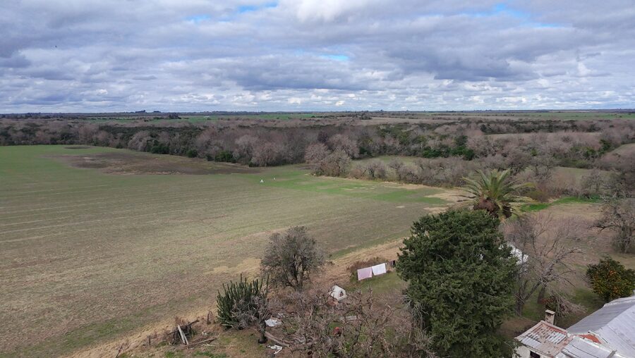 Campo de137ha en Paso de las Piedras