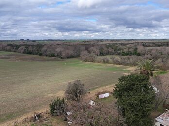 Campo de137ha en Paso de las Piedras