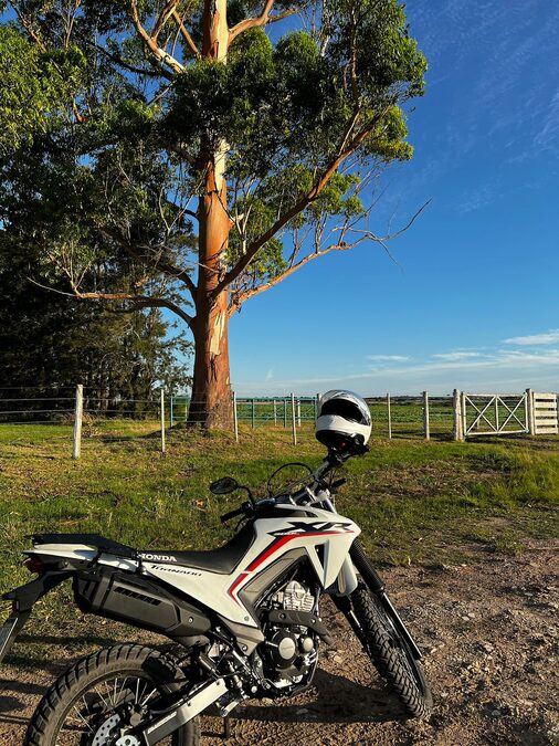 HONDA TORNADO 300L