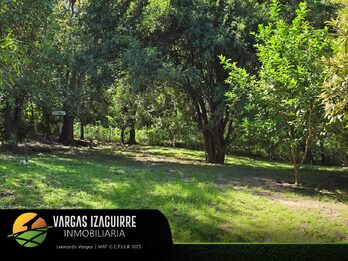 RANCHO DE COSTA en Venta en Aldea Brasilera: Oportunidad de OFERTA a USD 32.000 para PESCA y DESCONEXIÓN Cerca del Río
