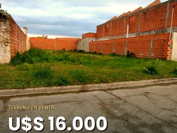 LOTE GAS NATURAL
