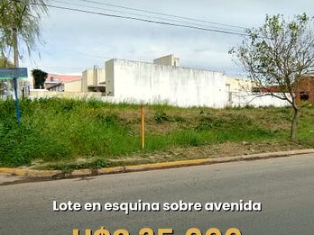 Dos lotes sobre Avenida. Exelente Valor