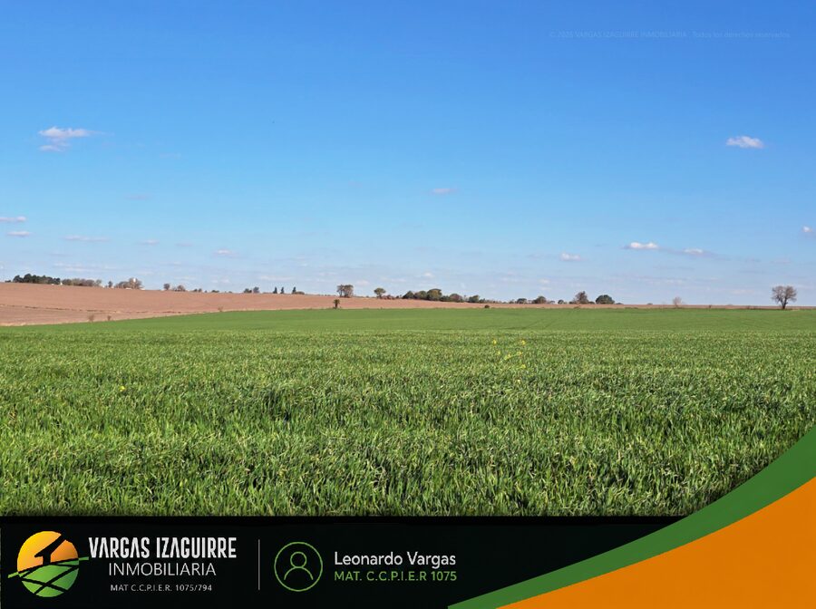 LOTE EN VENTA en Loma Hermosa (Aldea Brasilera): OPORTUNIDAD a USD 7.000, Lote ALTO con Vista al Campo