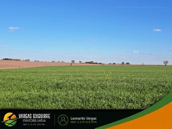 LOTE EN VENTA en Loma Hermosa (Aldea Brasilera): OPORTUNIDAD a USD 7.000, Lote ALTO con Vista al Campo