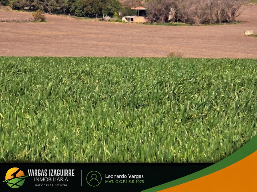 LOTE EN VENTA en Loma Hermosa (Aldea Brasilera): OPORTUNIDAD a USD 7.000, Lote ALTO con Vista al Campo