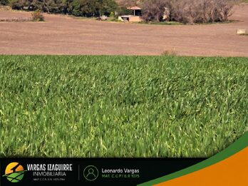 LOTE EN VENTA en Loma Hermosa (Aldea Brasilera): OPORTUNIDAD a USD 7.000, Lote ALTO con Vista al Campo