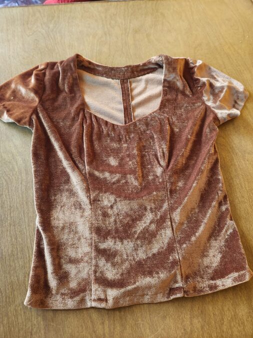 REMERA  DE CHIFON ATERCIOPELADO TALLE 3