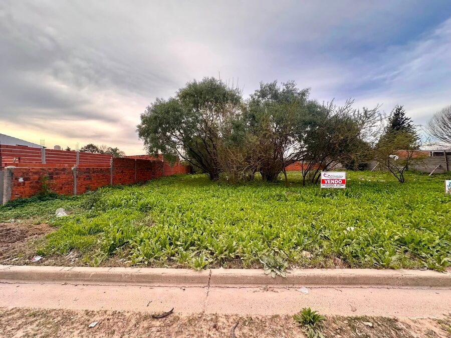VENDO 3 TERRENOS EN SAN BENITO