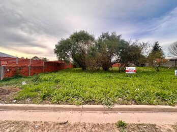 VENDO 3 TERRENOS EN SAN BENITO