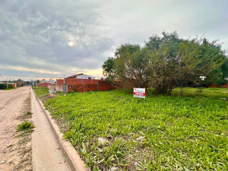 VENDO 3 TERRENOS EN SAN BENITO