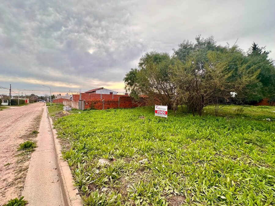 VENDO 3 TERRENOS EN SAN BENITO