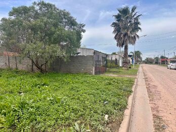 VENDO 3 TERRENOS EN SAN BENITO